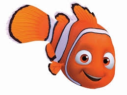 Quiz: Which Finding Nemo Character Are You? | Cartoni animati ...